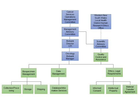 Governance structure diagram