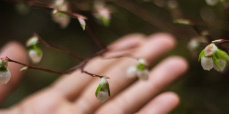 Hand with flowers